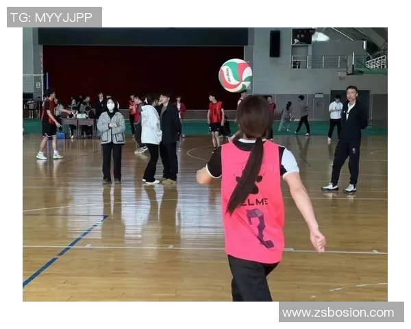 最新排球实力排行榜出炉杭州排球队稳居第一名引领风骚