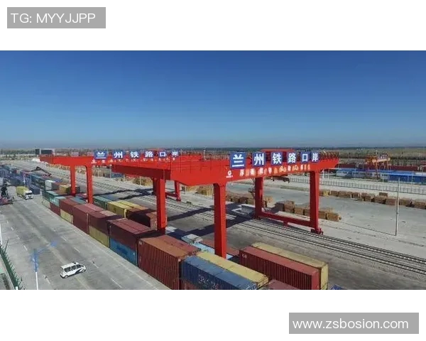 南京篮球队转型之路的挑战与机遇全景分析精英赛特别报道