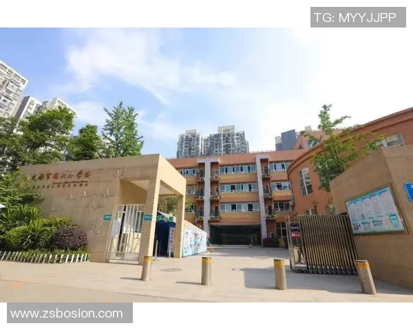 成都乒乓球队中路突破革新之路探索与未来发展展望