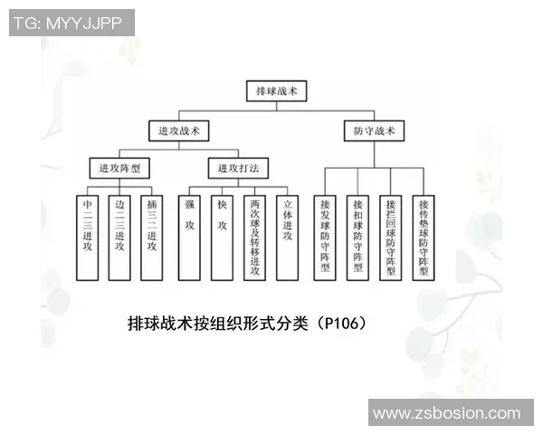 成都排球队进攻体系解析：排球战术的创新与实践探索